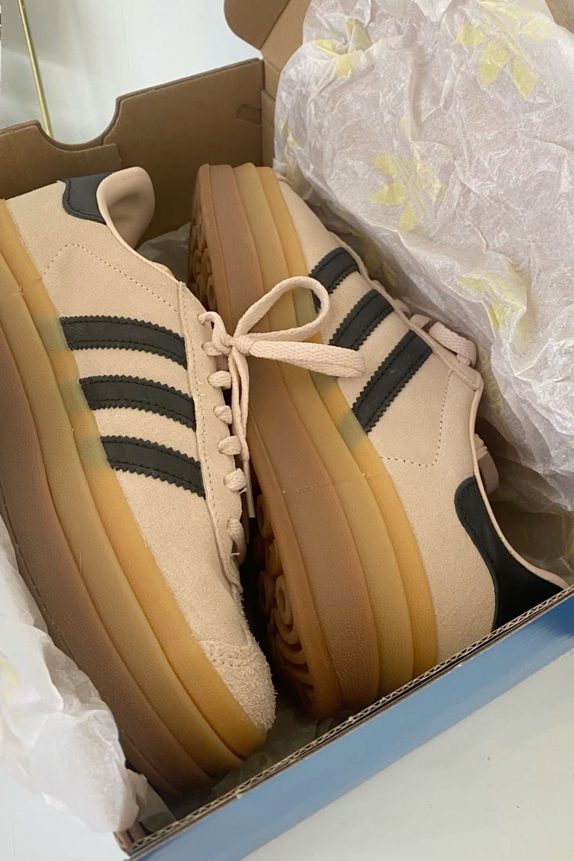 Gazelle Bold