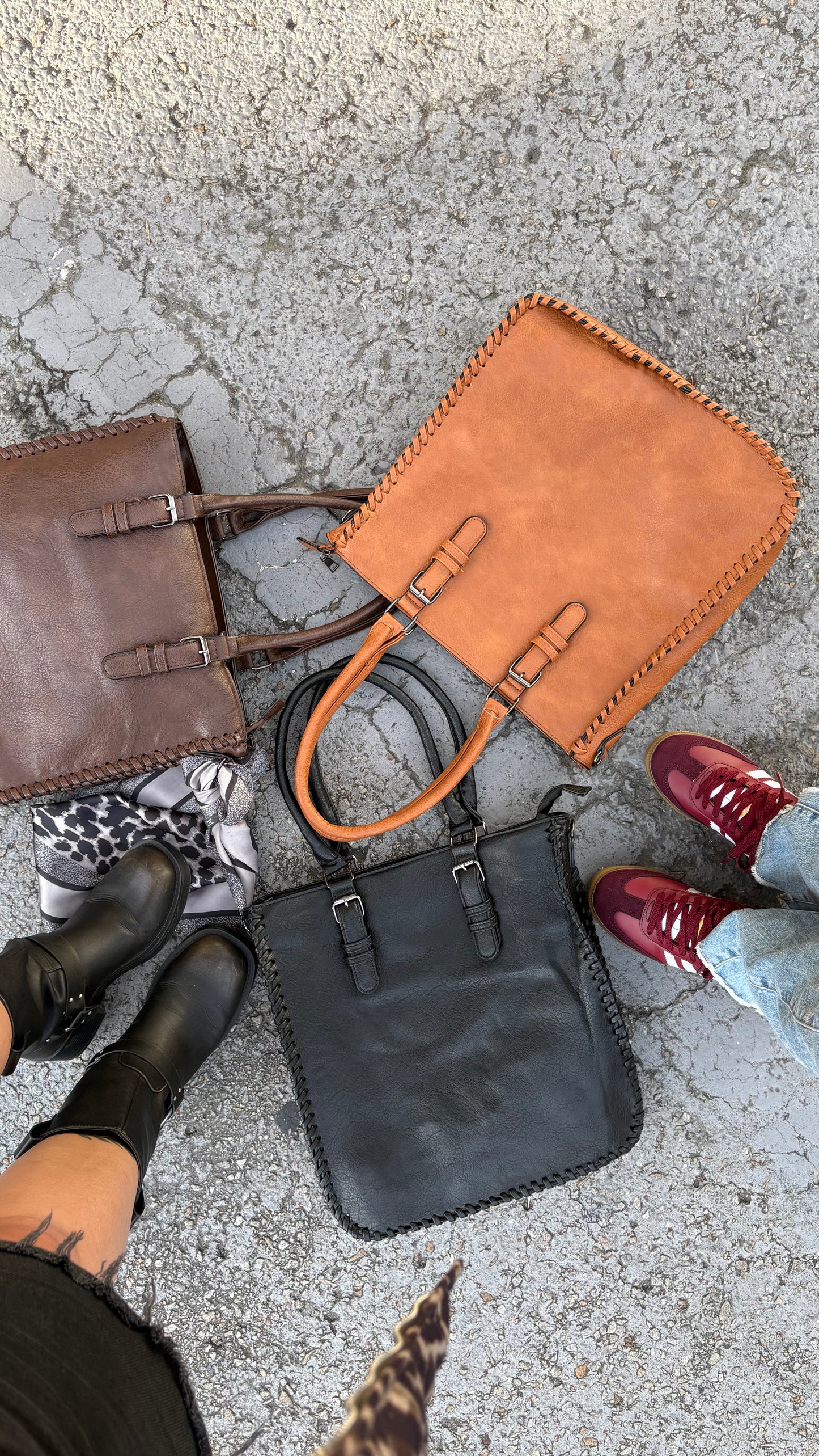 CARTERA TERRA