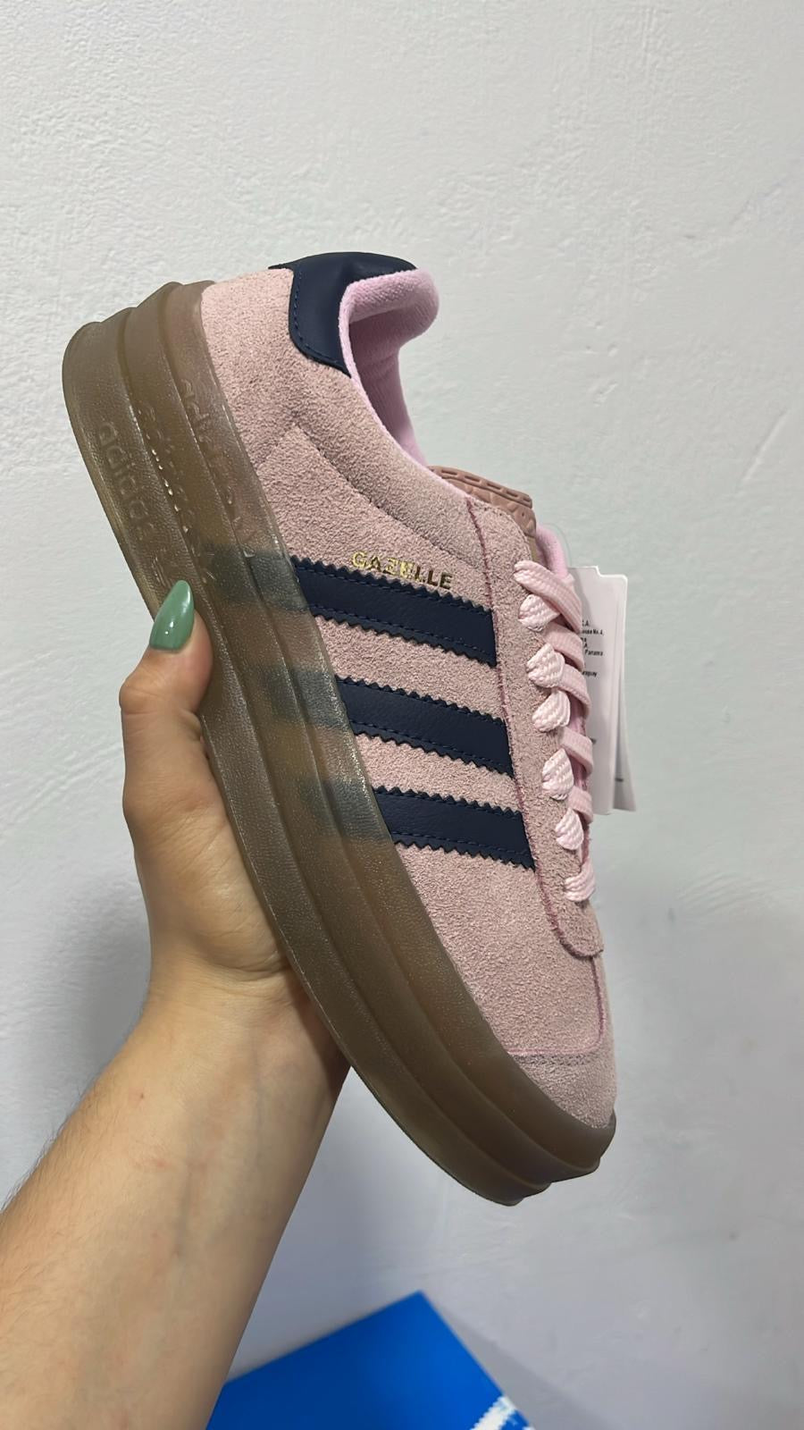 Gazelle Bold
